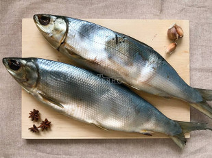 Лаваш со вкусом холодца и хрена: Сиг вяленый