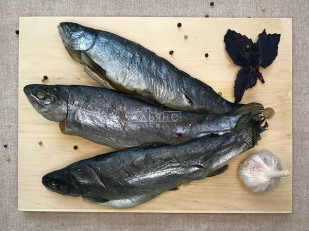Лаваш со вкусом холодца и хрена: Форель радужная вяленая